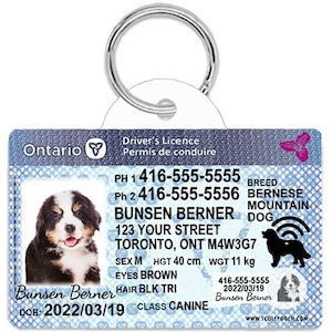 Ontario Driver License Custom Pet ID Tags - Personalized Dog Tags - Unique Handmade Durable ID Tags for Dogs and Cats