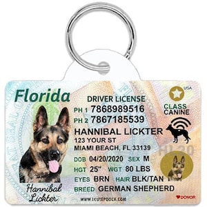 Florida Driver Dog Id Tag Personalized License, Durable Dog Tag, Double Sided Dog Identity Tags, Pet Id Tag Dog License, Christmas Gift