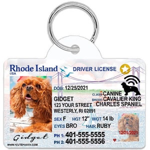 Rhode Island Driver License Custom Pet ID Tags - Personalized Dog Tags - Unique Handmade Durable ID Tags for Dogs and Cats