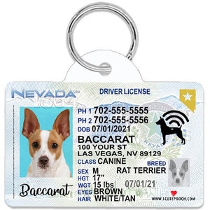 Nevada Driver License Custom Pet ID Tags - Personalized Dog Tags - Unique Handmade Durable ID Tags for Dogs and Cats