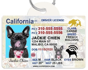 1 Cute Pooch Kid Novelty Driver License Child Safety Identification Card  for Children Under 12 (Florida)