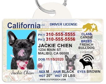 1 Cute Pooch Kid Novelty Driver License Child Safety Identification Card  for Children Under 12 (Florida)