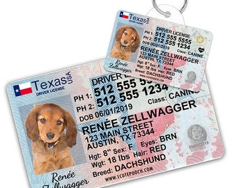 dog licence tag