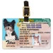 Florida Driver License Custom Pet ID Tags and Wallet Card | Etsy