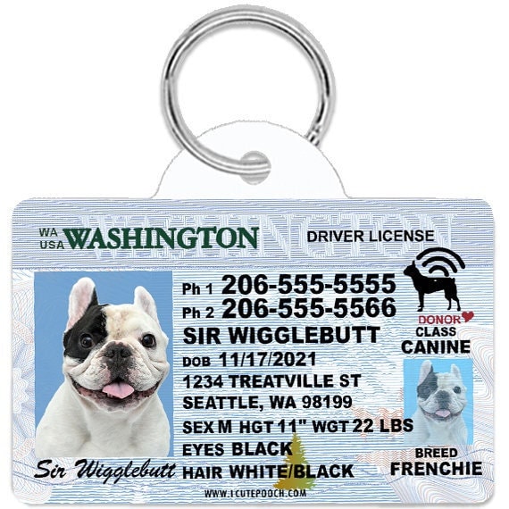 Washington Driver License Custom Pet ID Tags Personalized Dog Tags Unique Handmade Durable ID Tags for Dogs and Cats