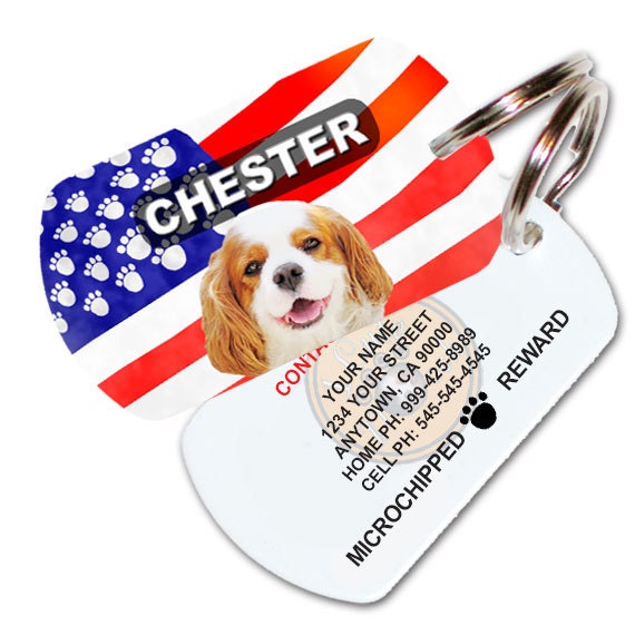 1 cute pooch online