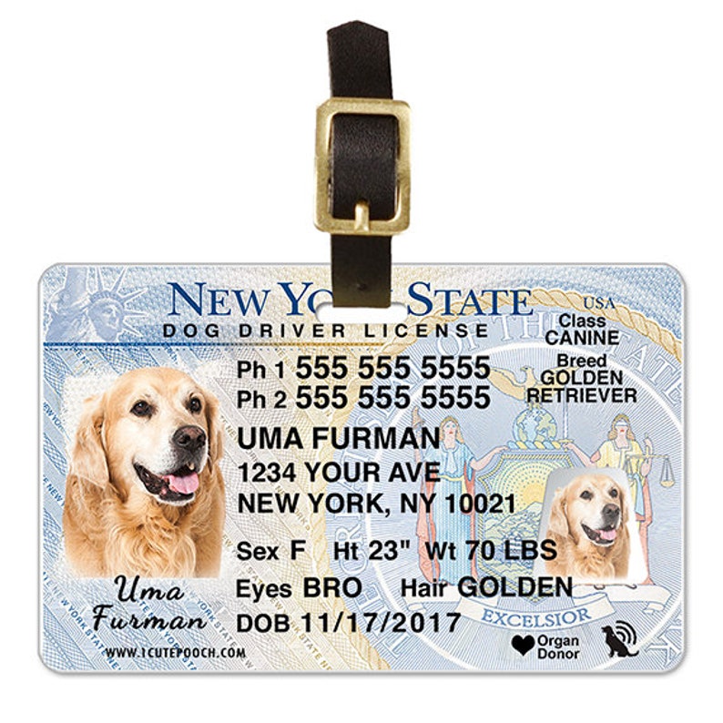 New York Driver License Custom Pet ID Tags and Wallet Card Etsy