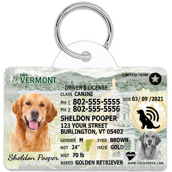 1 cute pooch cheap