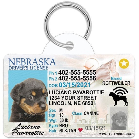 Dog driver's licence clearance tag