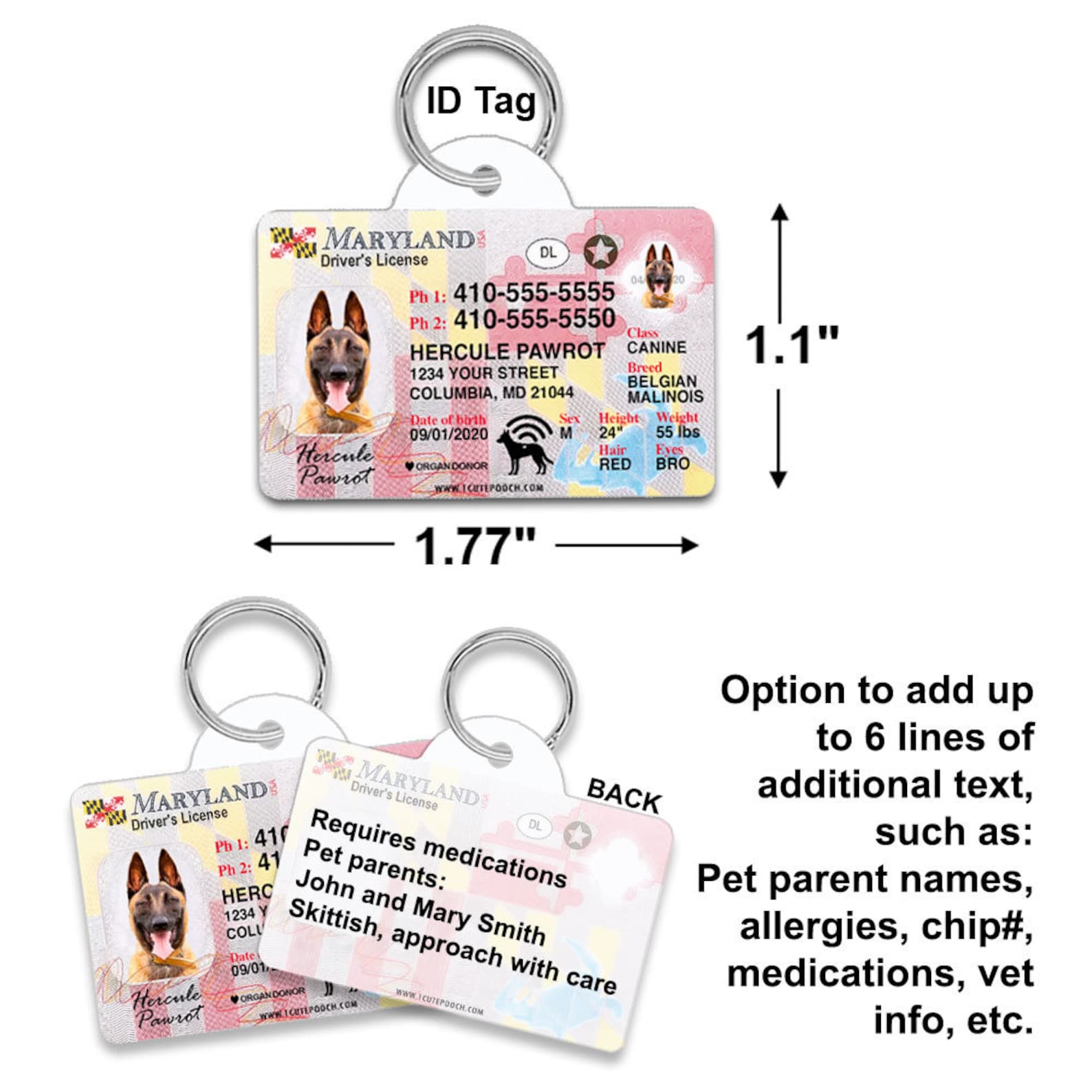 Maryland Driver License Custom Pet ID Tags Personalized Dog Etsy