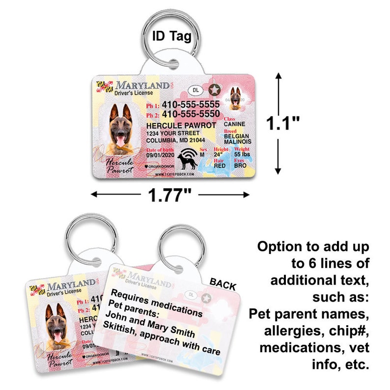 Maryland Driver License Custom Pet ID Tags Personalized Dog Etsy