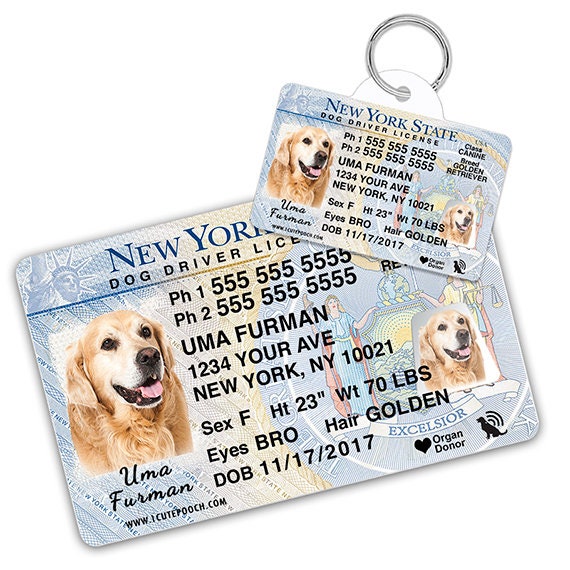 New York Driver License Custom Pet ID 