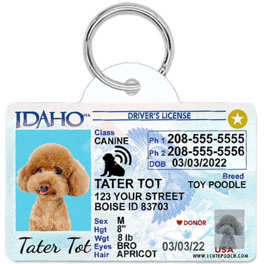 Idaho Driver License Custom Pet ID Tags Personalized Dog Tags Unique