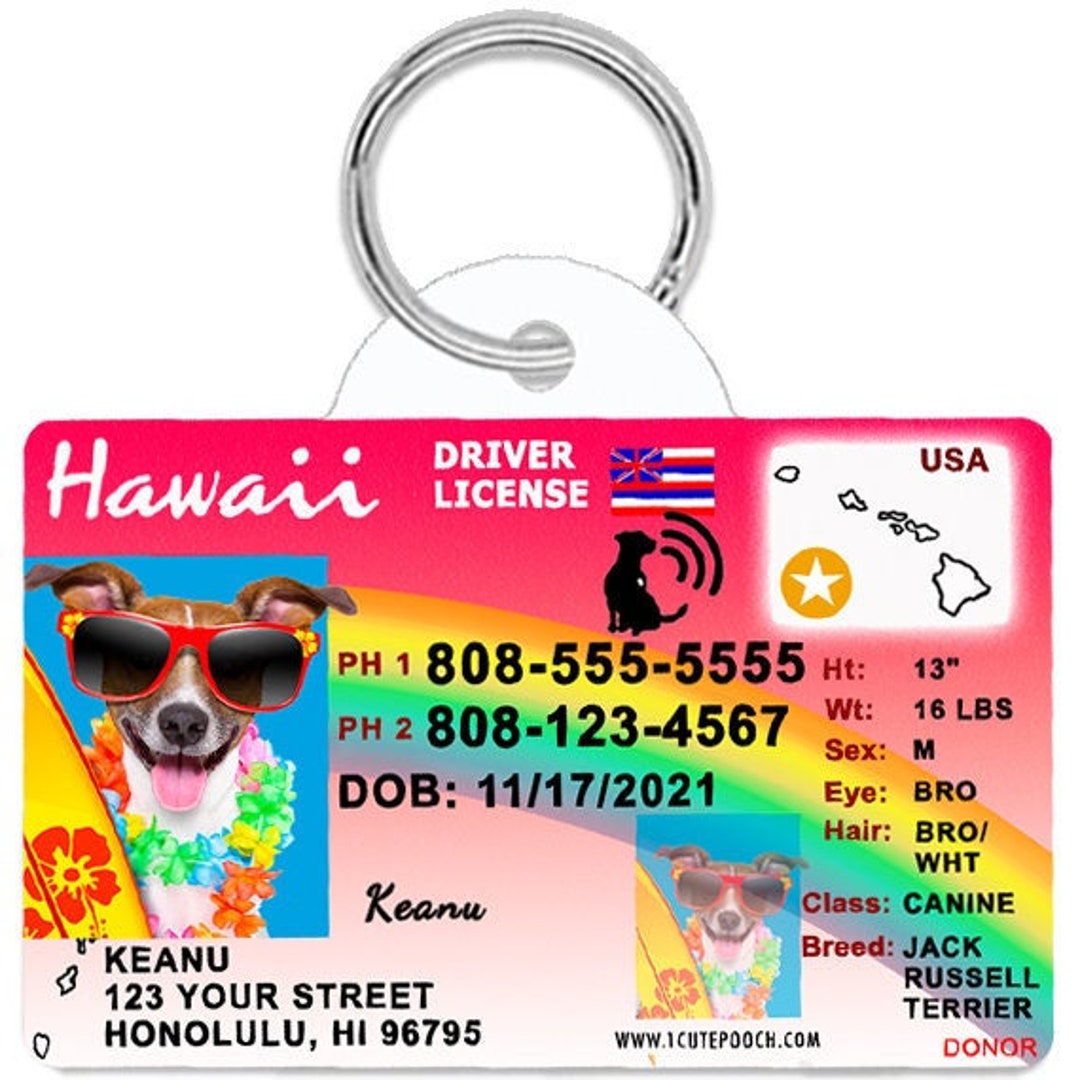 Hawaii Driver License Custom Pet ID Tags Personalized Dog Tags Unique