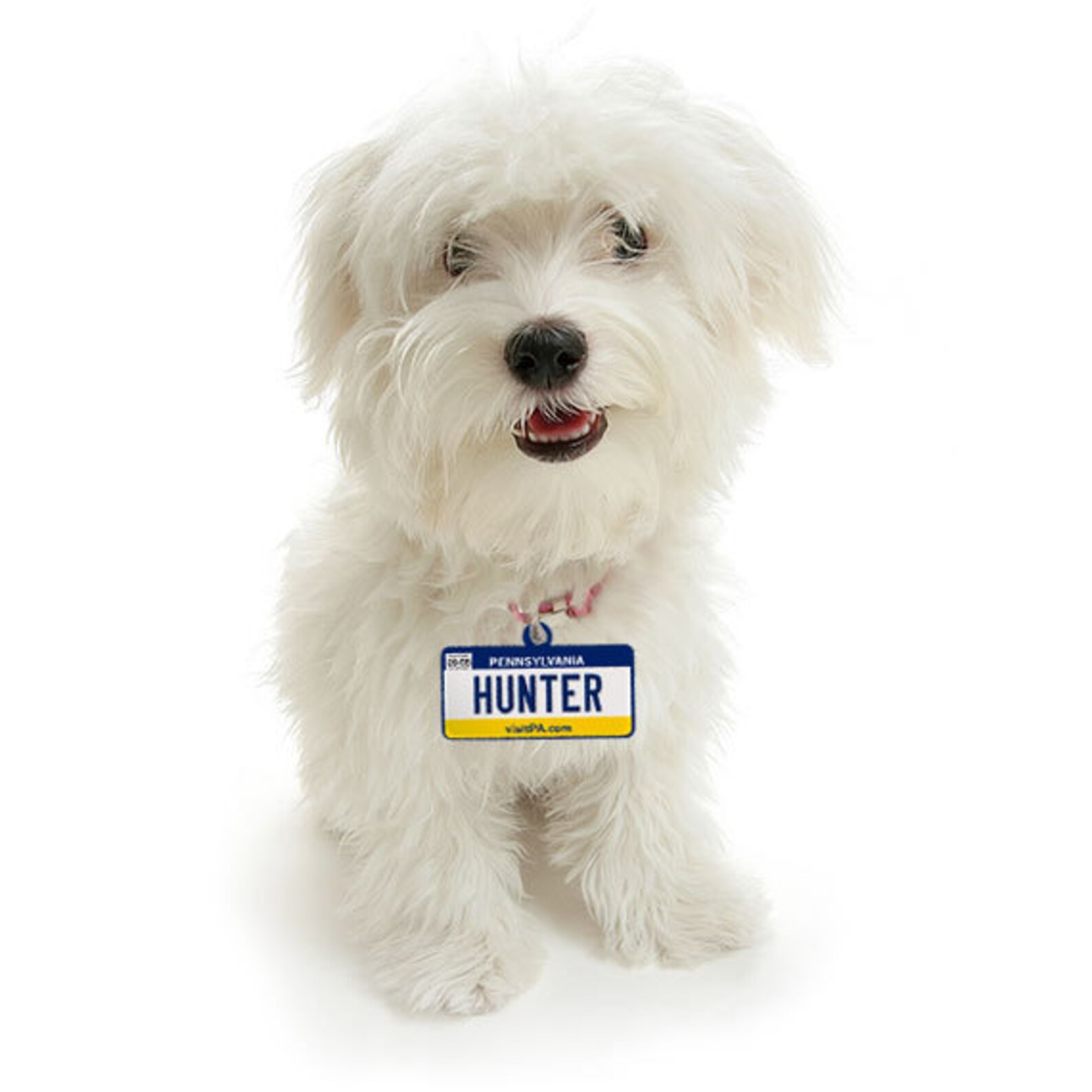 Pennsylvania License Plate Custom Pet ID Tag Dog ID Tag Etsy