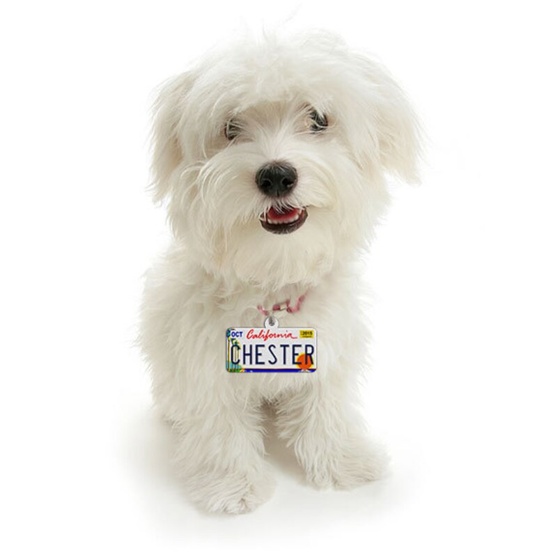 California License Plate Custom Pet ID Tag Dog ID Tag Etsy