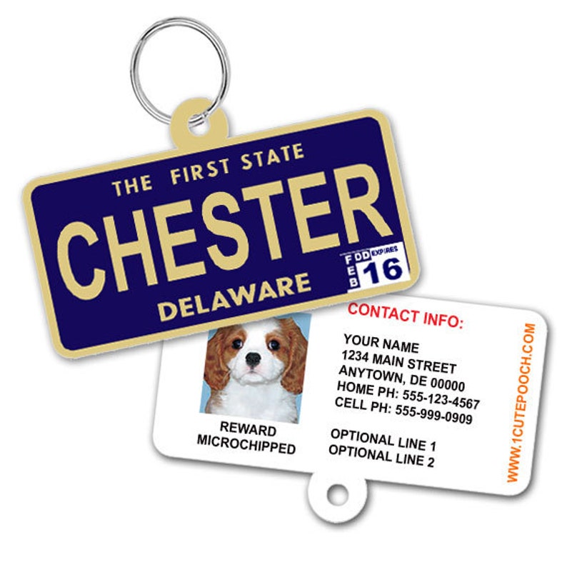 Delaware License Plate Custom Pet ID Tag Dog ID Tag Etsy