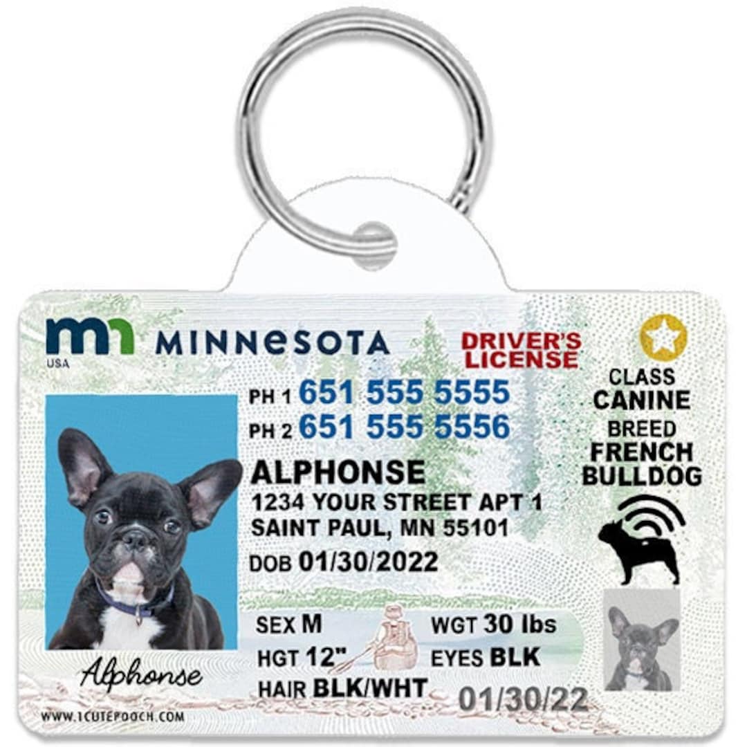 Dog driver's licence tag hotsell