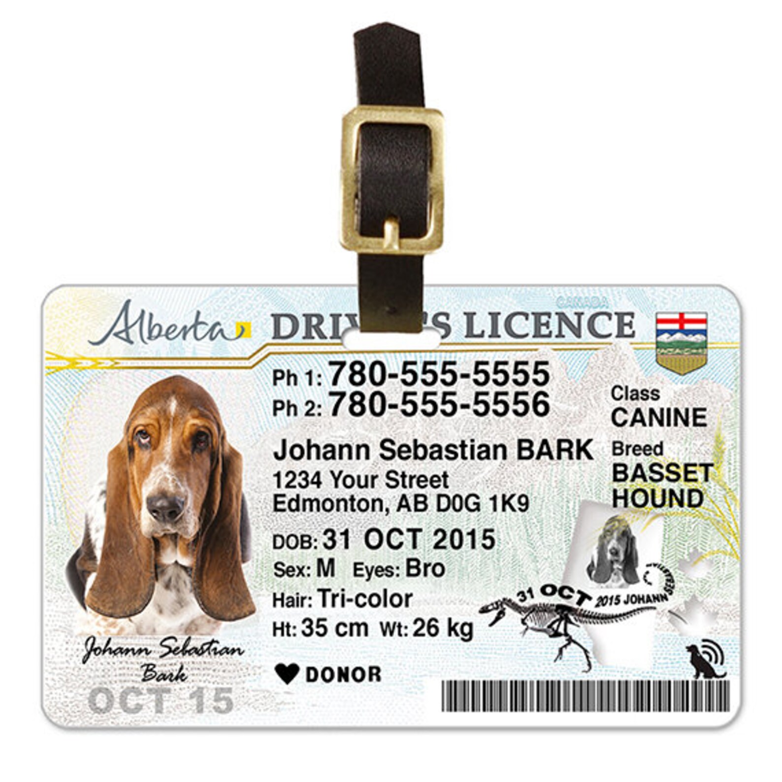 Alberta Driver Licence Custom Pet ID Tags and Wallet Card Etsy