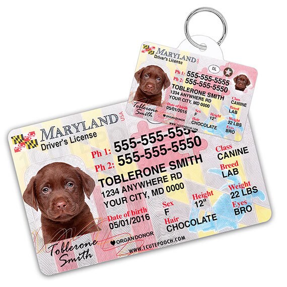 Maryland Driver License Custom Pet ID Tags and Wallet Card Etsy