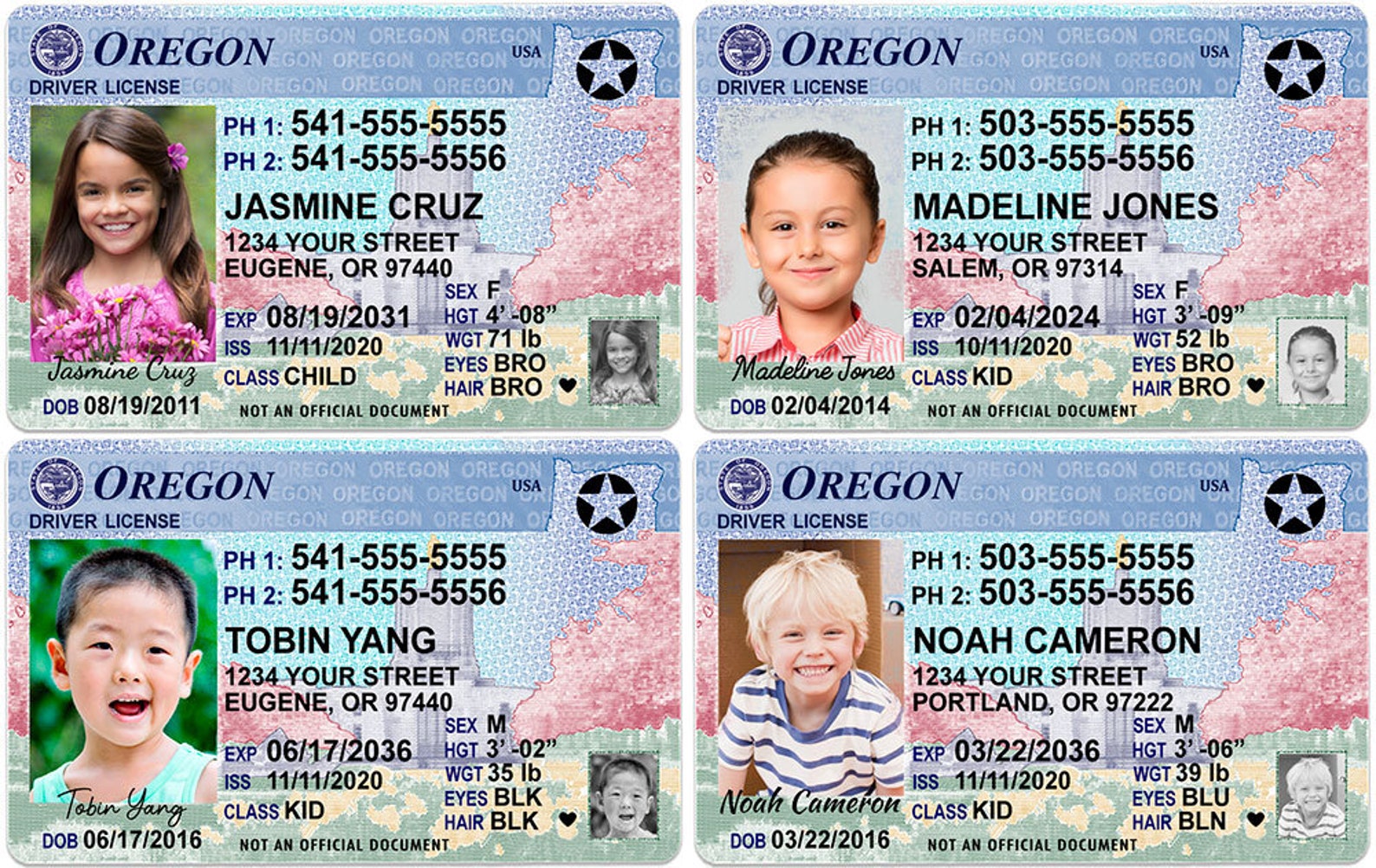 download the new for windows Oregon driver installer license prep class