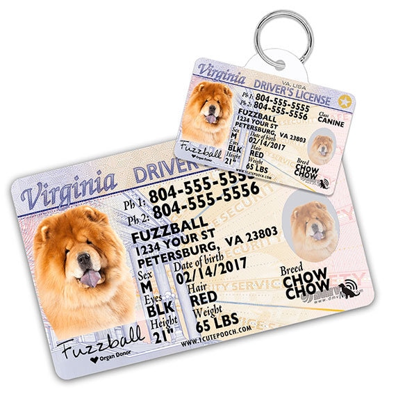 dog id tags near me