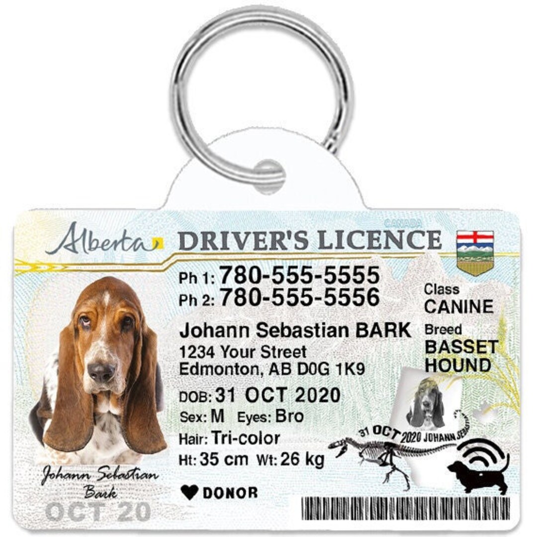 Dog id badge hotsell