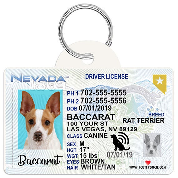 driver's license dog tag