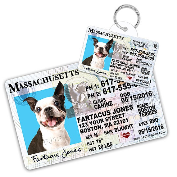 pet drivers license tag
