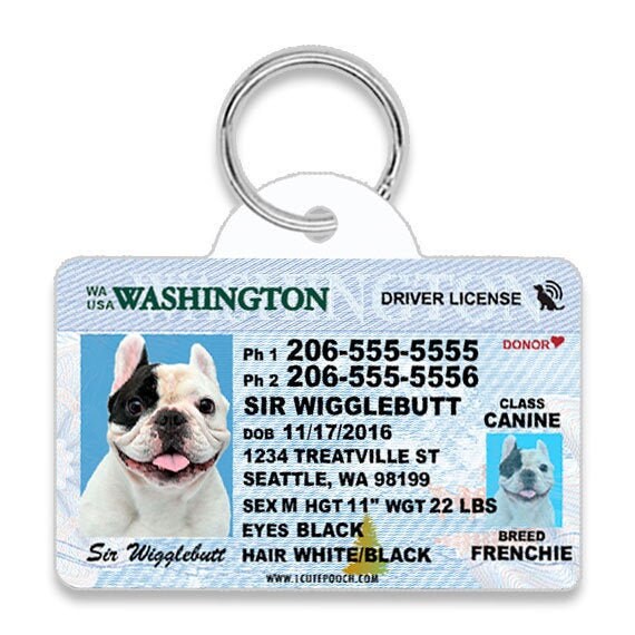 How Do I Get A Dog License In Seattle