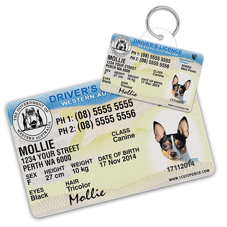 Western Australia Driver License Custom Pet ID Tags and Wallet Etsy
