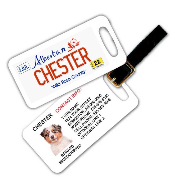 Dog tag license plate online