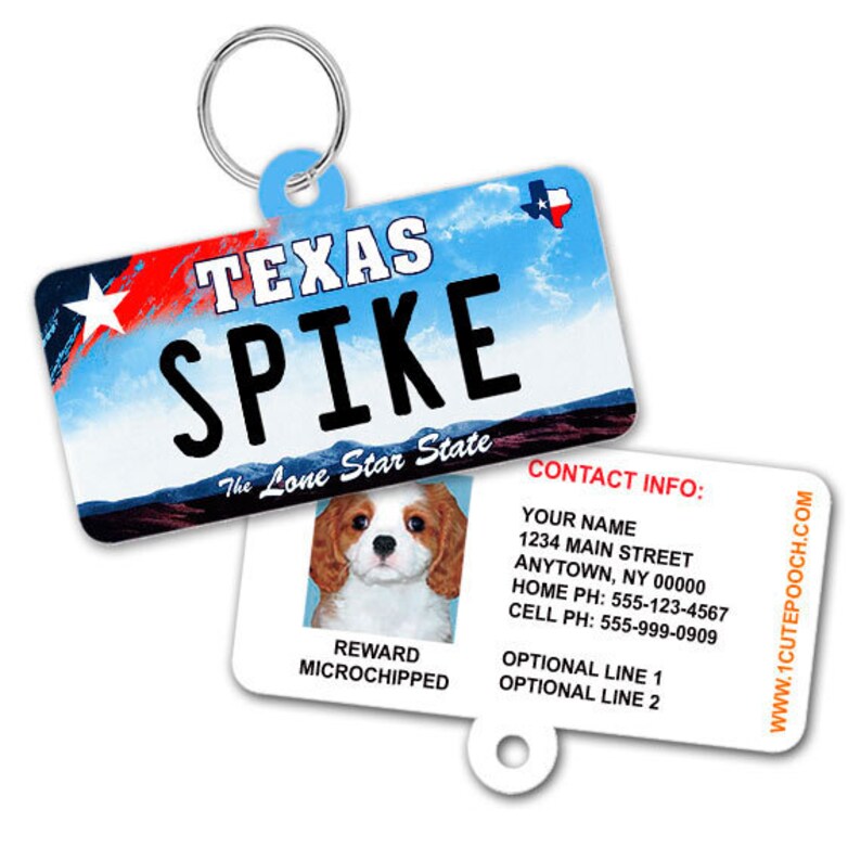 pet license tag