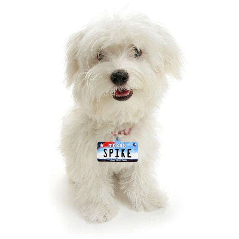Texas License Plate Custom Pet ID Tag Dog ID Tag Etsy