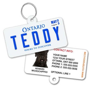 Ontario License Plate Custom Pet ID Tag - Dog ID Tag - Personalized Pet ID Tag