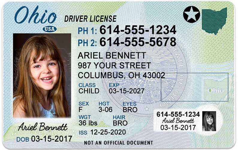 Ohio State Id Card / Ohio to start issuing new licenses that meet