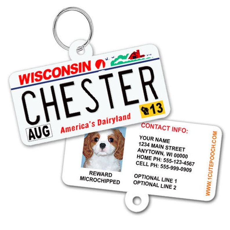 Wisconsin License Plate Custom Pet ID Tag Dog ID Tag Etsy