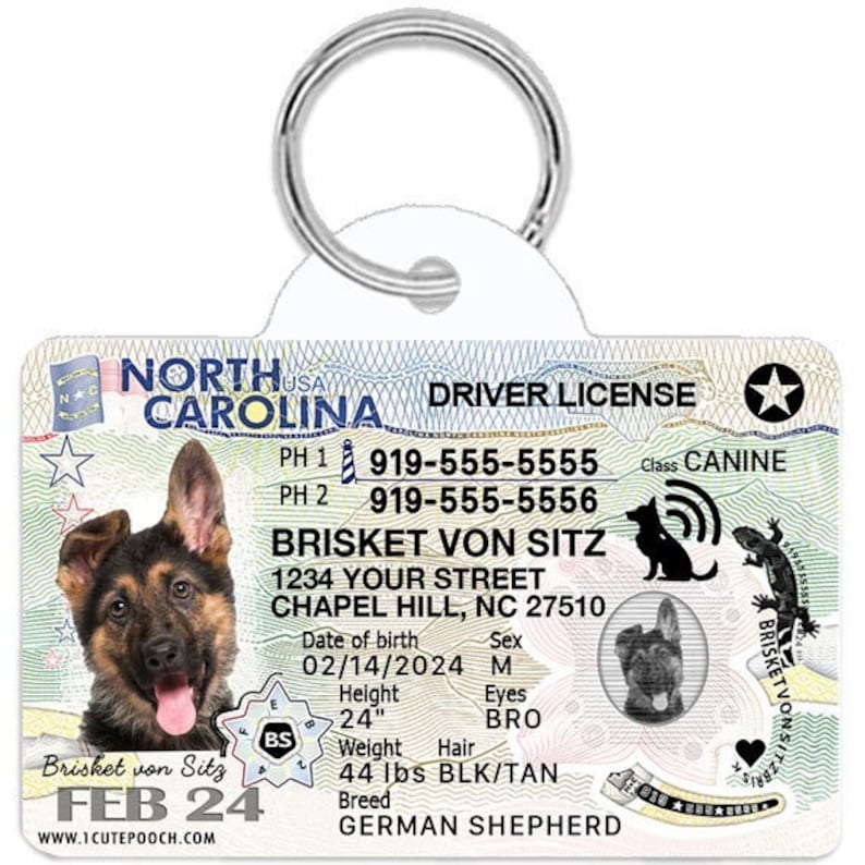May include: A North Carolina driver's license for a German Shepherd dog named Brisket von Sitz. The license includes the dog's photo, name, address, date of birth, sex, height, weight, hair color, breed, and phone numbers. The license is printed on a white card with a blue border and a star in the upper right corner.