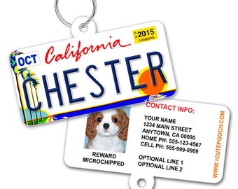 dog licence tag