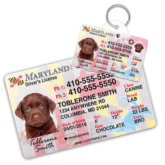 pet dog tags near me