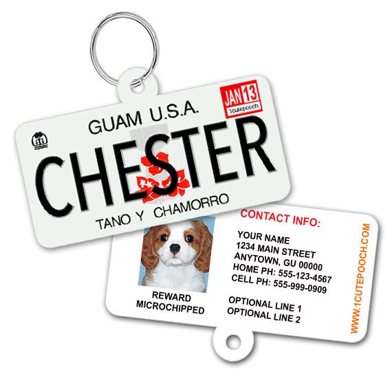 Dog name 2025 tag license