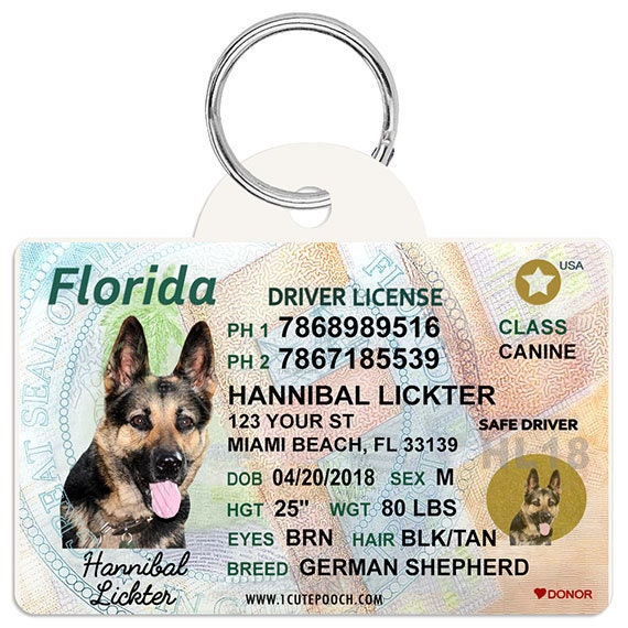 driver's license dog tag
