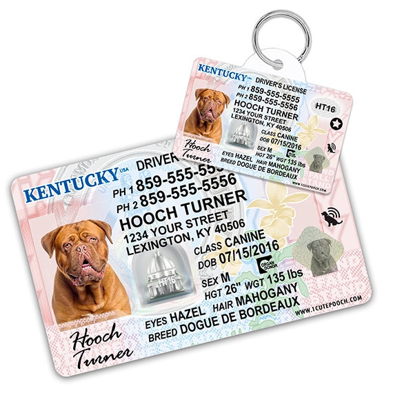 Kentucky Driver License Custom Pet ID Tag and Wallet Card Etsy