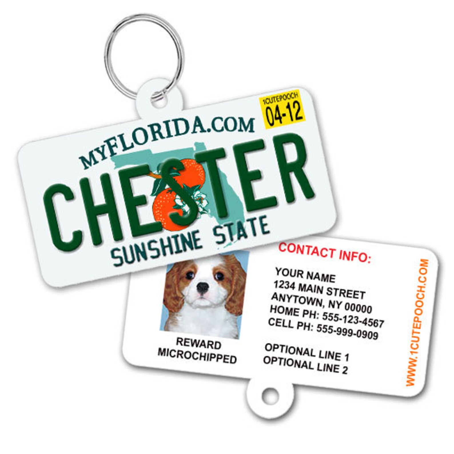 Dog id. License tags. Pet drive. Dog id tag. Iguverse pet id.