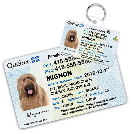 dog tag driver's licence