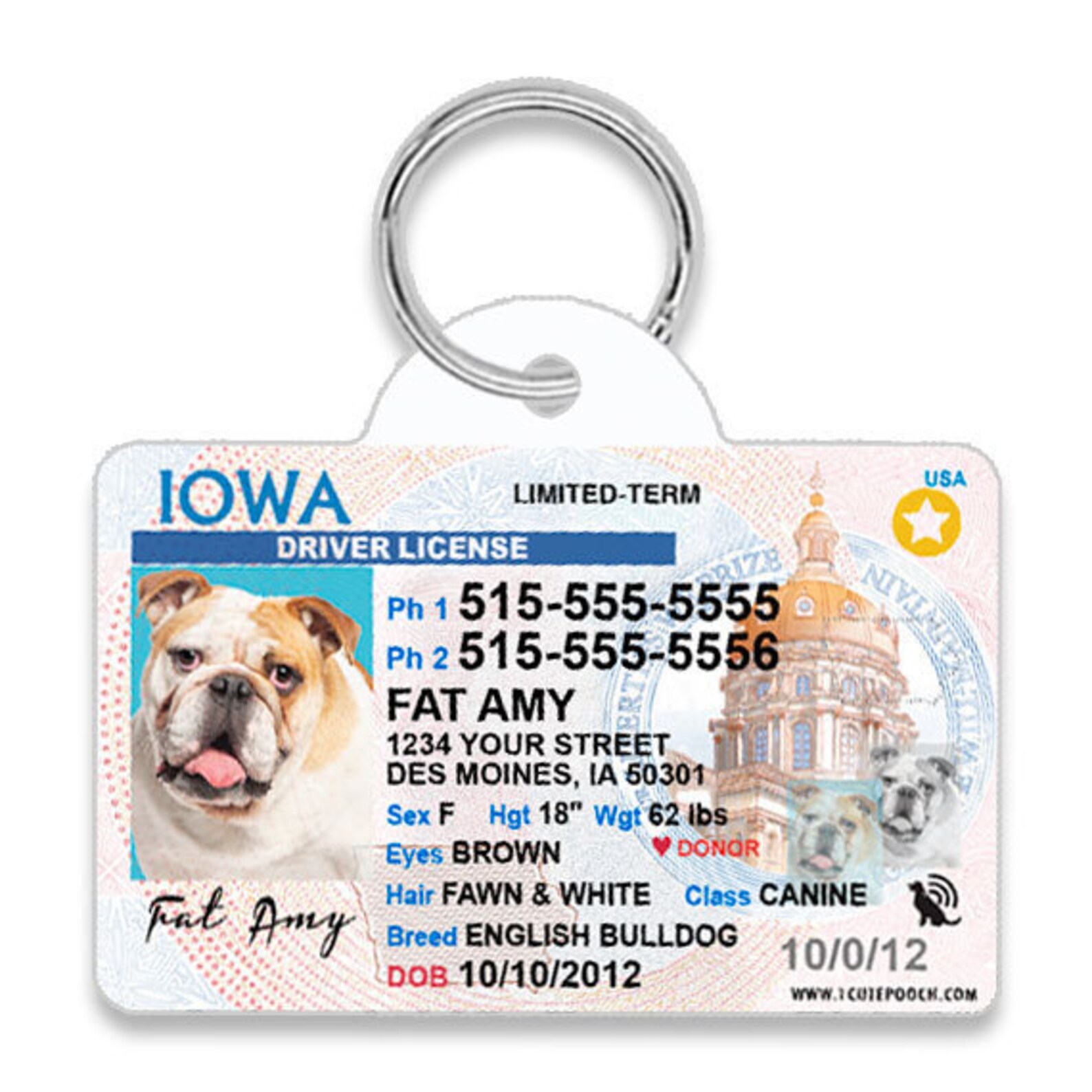 Iowa Driver License Custom Pet ID Tags Personalized Dog Tags Etsy