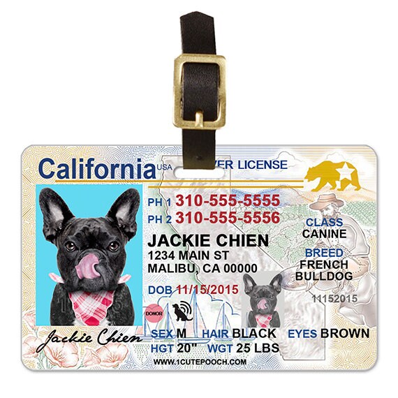 drivers licence dog tag