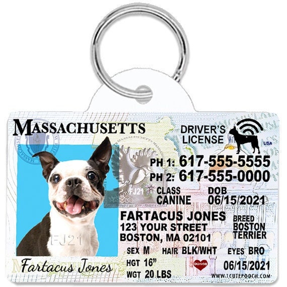 How Do I Get A Dog License In Seattle