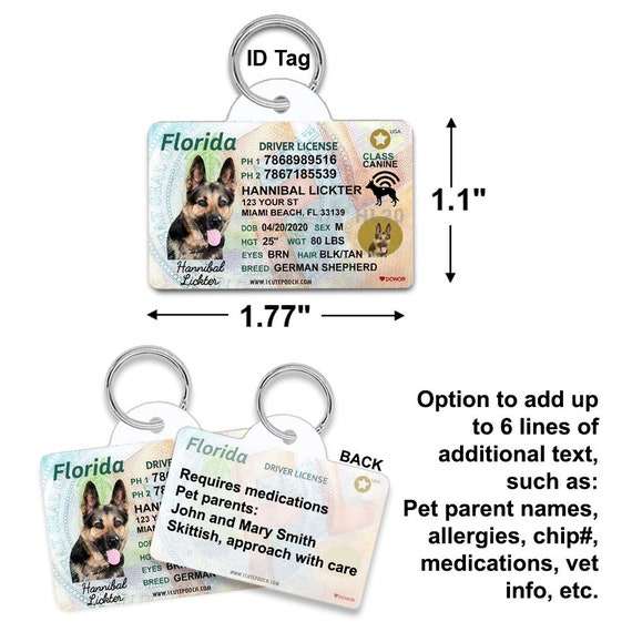 Does Florida Require Dog License