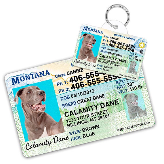 Montana Driver License Custom Pet ID Tags and Wallet Card Etsy